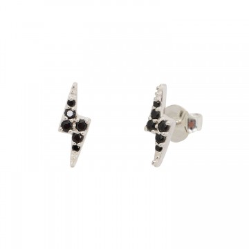Puces d'oreilles Tatoo...