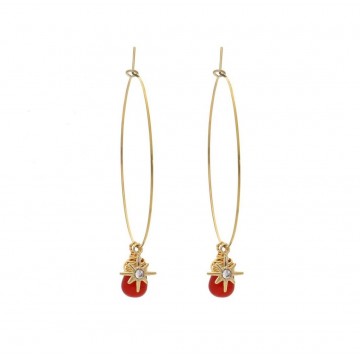 Boucles d'oreilles acier doré, Cornaline rouge