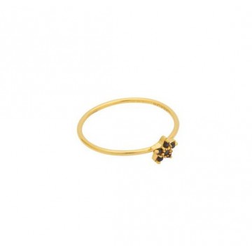 Bague Etoile étoile, Zirconium noir