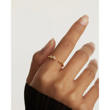 Bague Prince, collection...