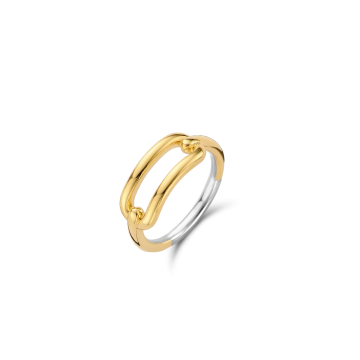 Bague, Argent et plaqué or