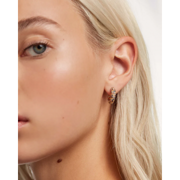 Boucles d'oreilles Tiger...