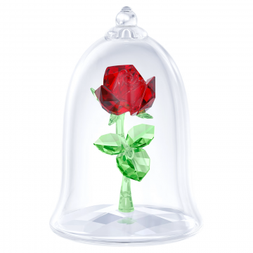 Rose Enchantée