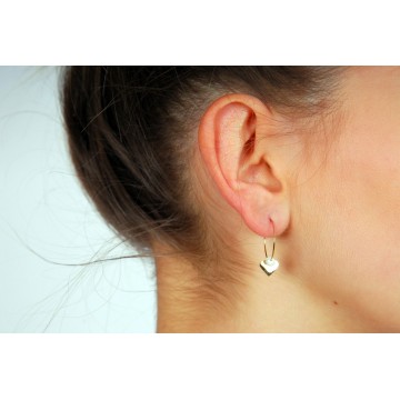 Boucles d’oreilles acier doré