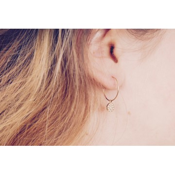 Boucles d'oreilles acier doré, Zirconium