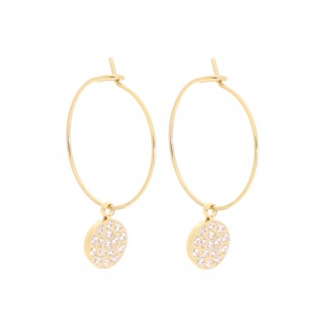 Boucles d'oreilles acier doré, Zirconium