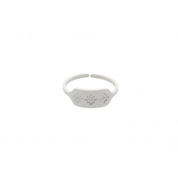 Bague acier uni, Zirconium