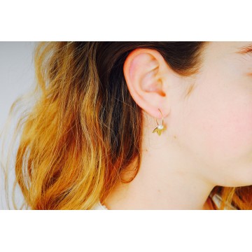 Boucles d’oreilles acier...
